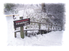 040119大雪の金剛山 - 16