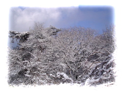 040119大雪の金剛山 - 37