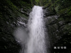 水量十分な